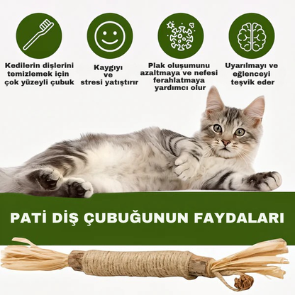 Pati Diş Çubuğu
