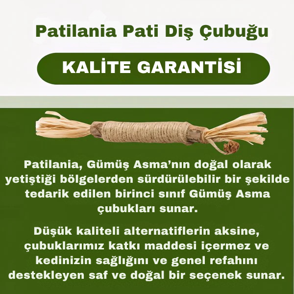 Pati Diş Çubuğu